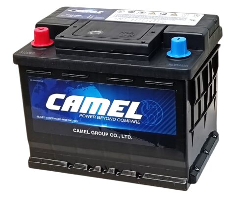 CAMEL BATTERY 12v 62Ah / 520A 