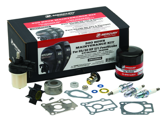 300h HUOLTOSARJA MERCURY F25 / 30EFI alk.sn.0R106999 ->