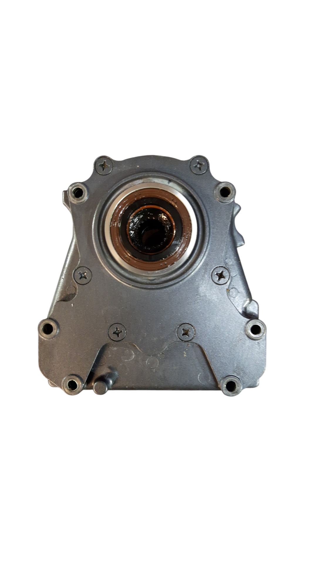 K&Auml;YTETTY YAMAHA F80-115 &Ouml;LJYPUMPPU